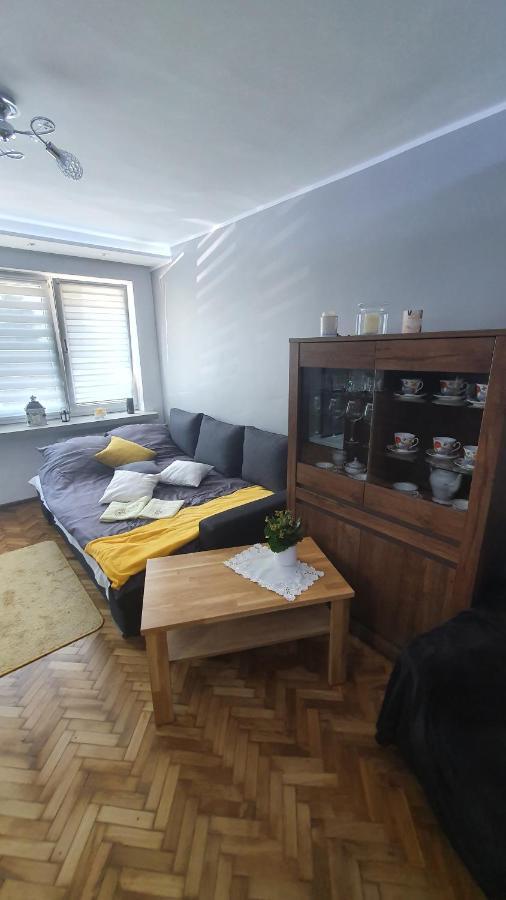 Apartament Park Saski Сандомир Экстерьер фото